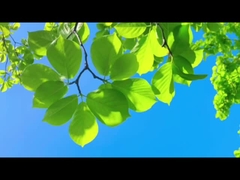 Net als vaders bewaakt Farrleey met betrouwbaarheid de schone lucht voor familie en planeet.